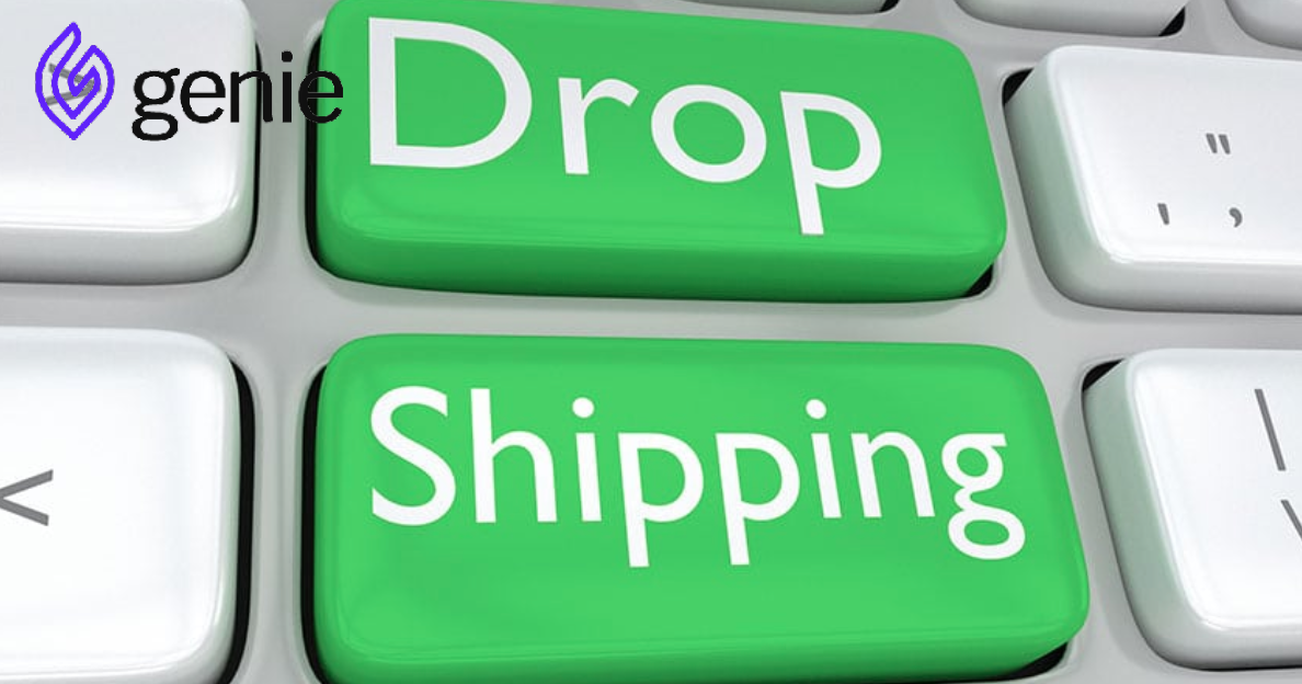 apa itu dropship